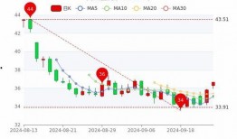 医药股票最新行情爆料,最新行情揭秘，投资风向标再起