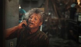 半岛电影在线观看,畅享海量影视盛宴