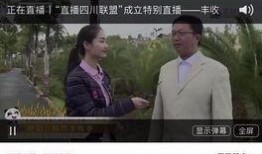 四川直播在线观看,在线观看，尽享巴蜀风情